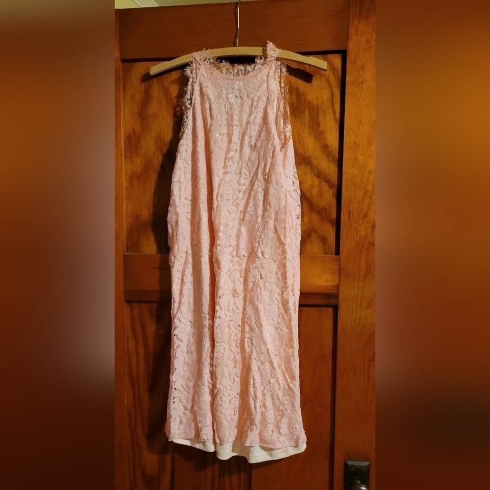 NWT L Blush pink lined lace dress by Solution